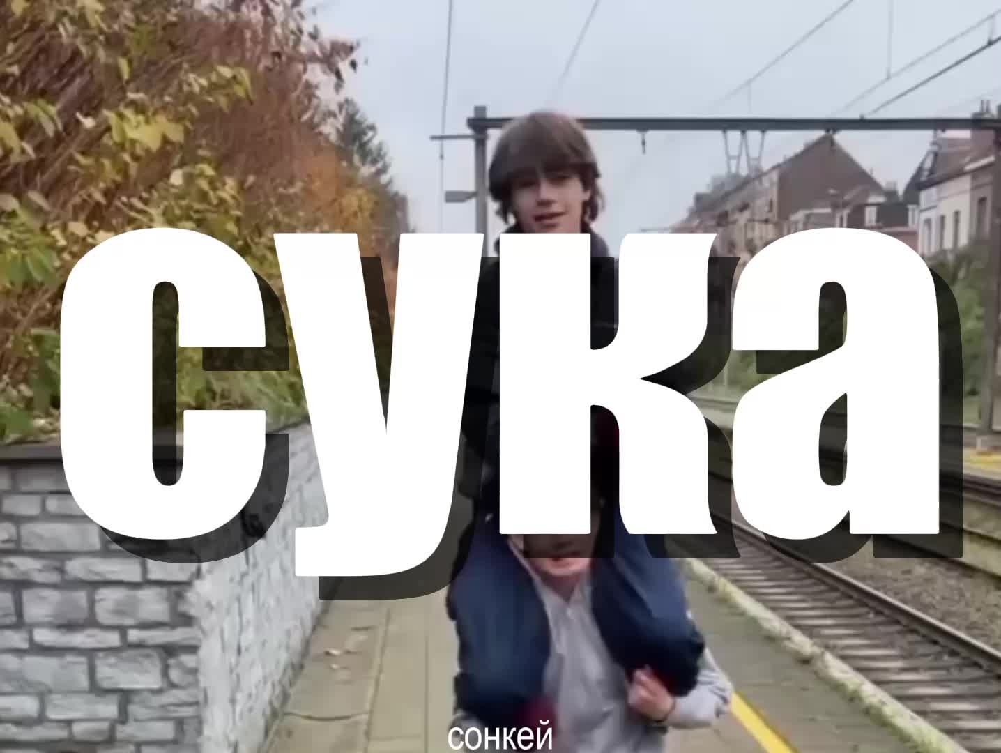 @сонкей 🤑