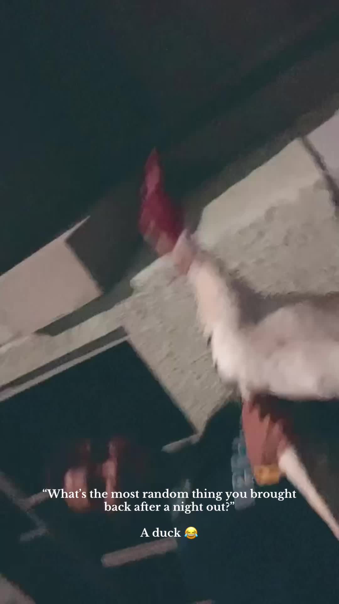 @Lara
