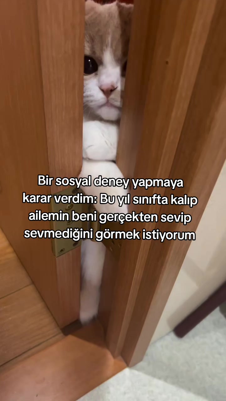 @rolland