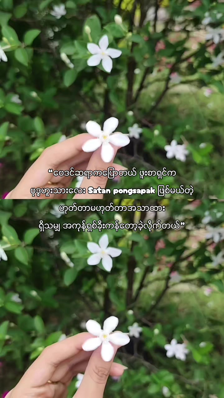@𐙚 𝑆𝑎𝑛𝑡𝑎ᶻⁱⁿ 𐙚