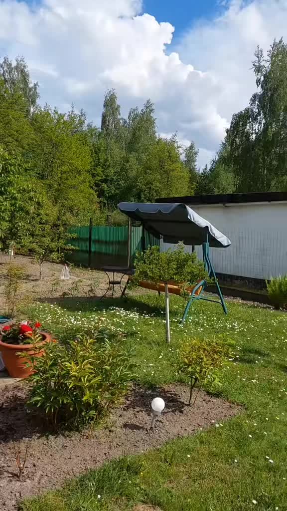 @koci świat 🐈⬛🐈⬛🐈⬛
