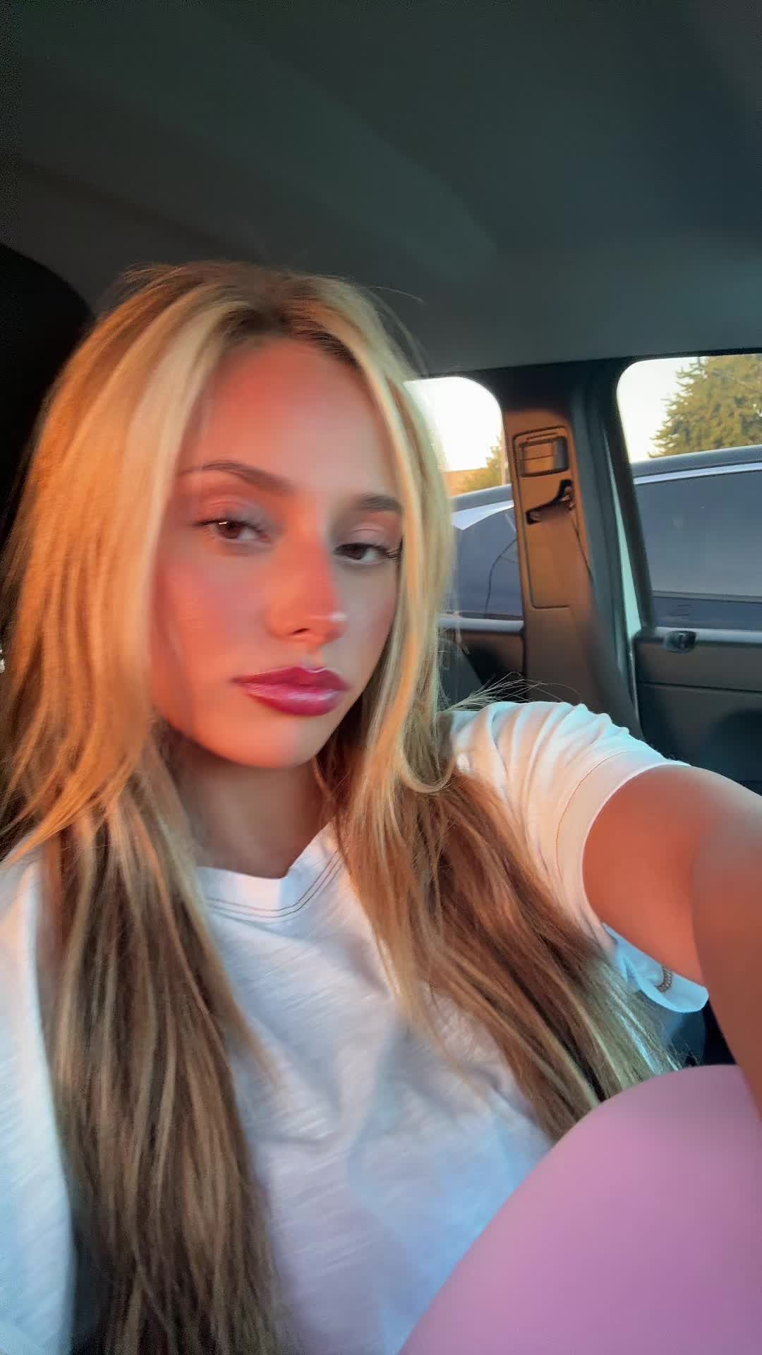 @≽^ ˕ • ྀི≼
