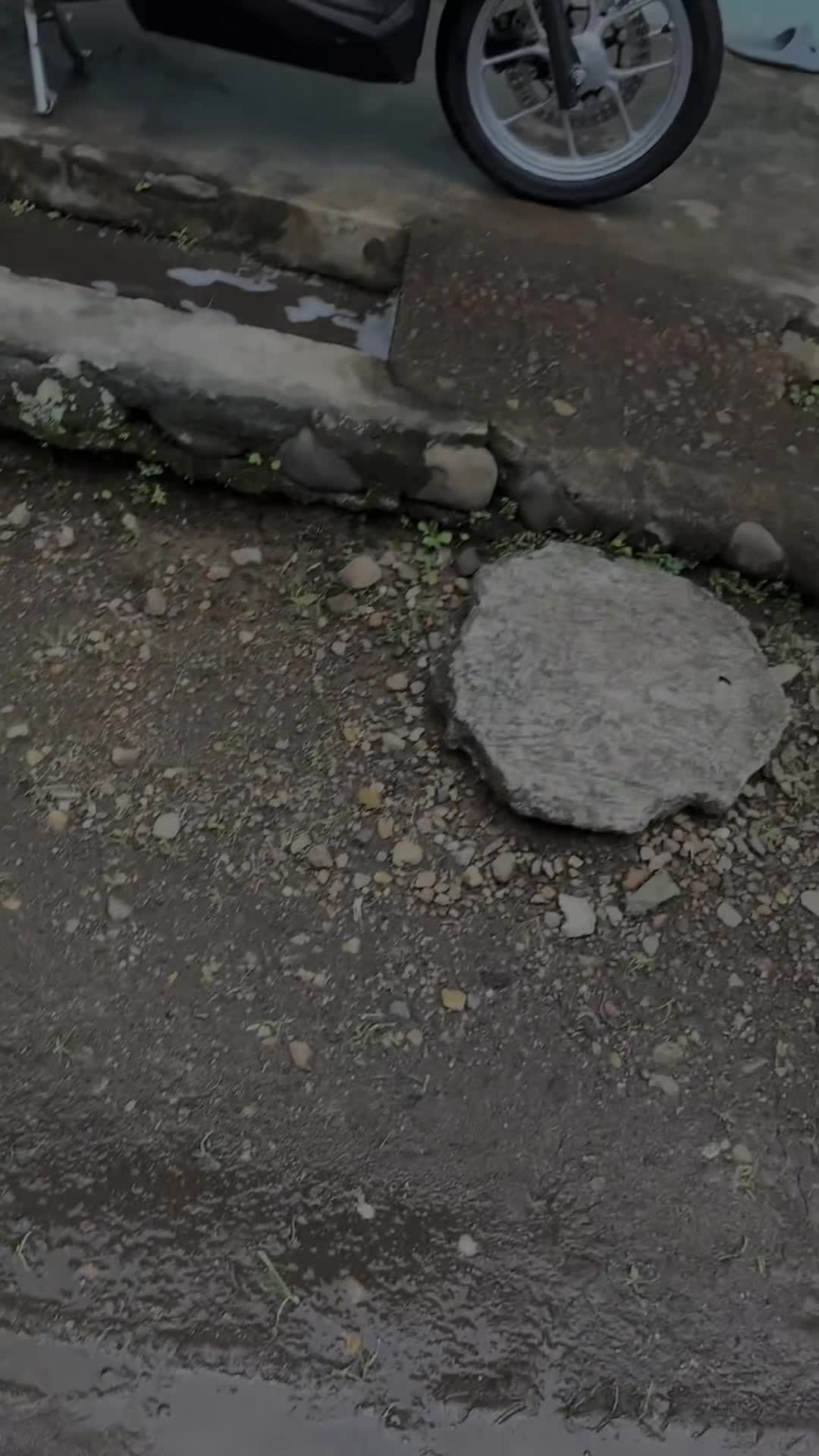 @🕷️J