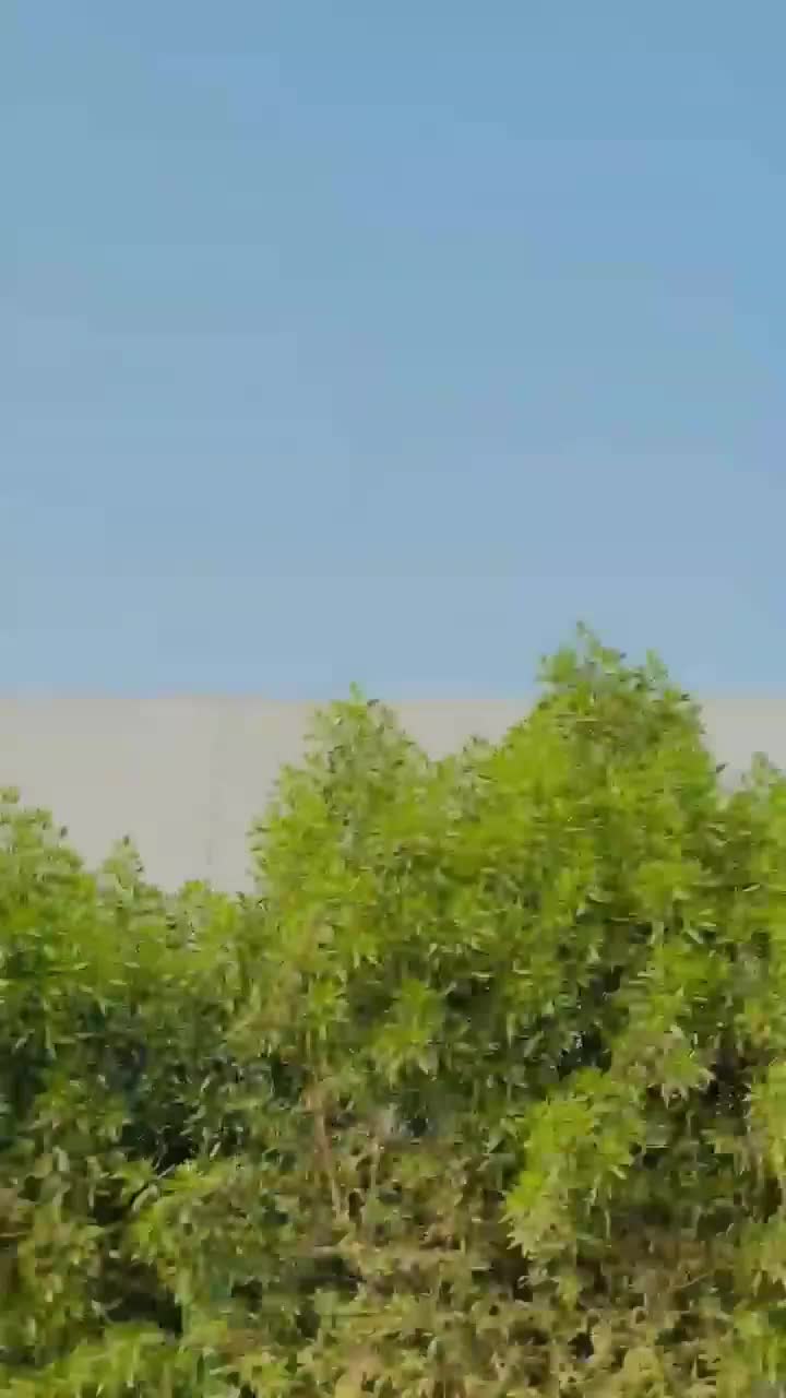 @جام صاحب🦅
