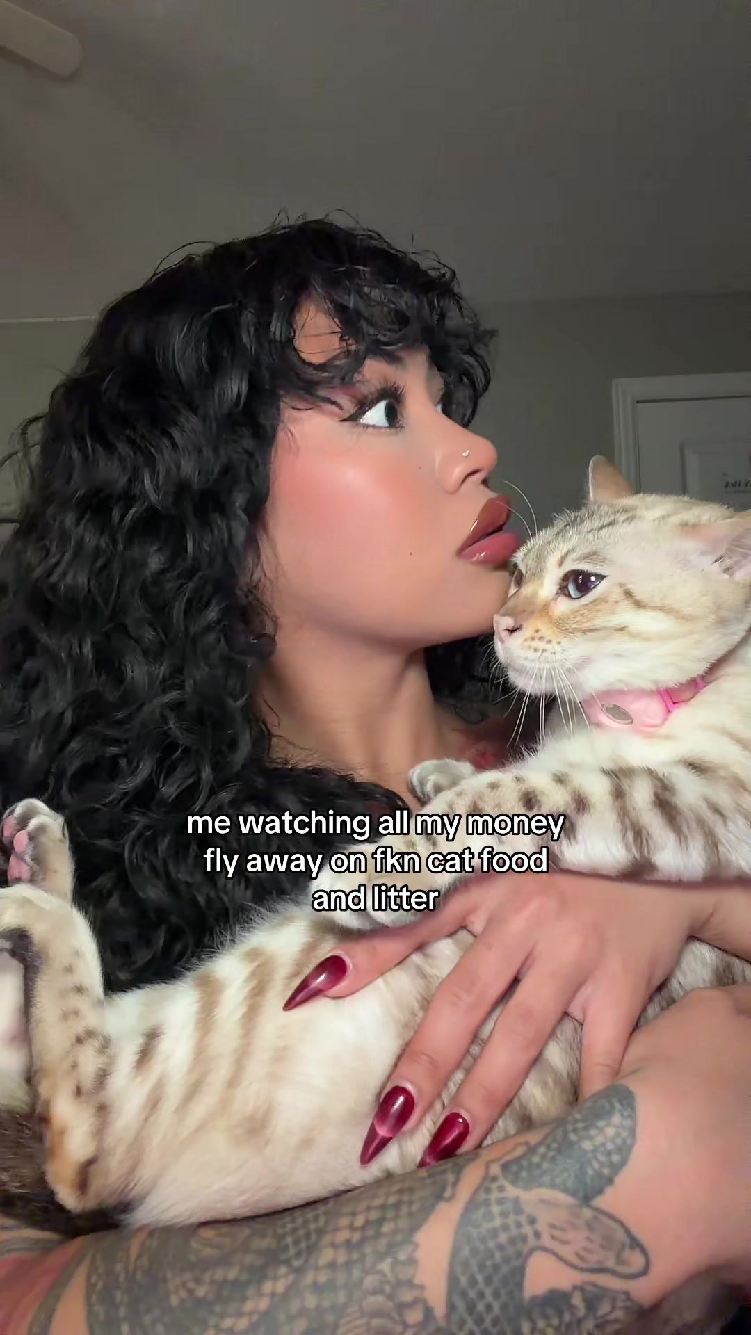 @Mirajane The Bengal🐾