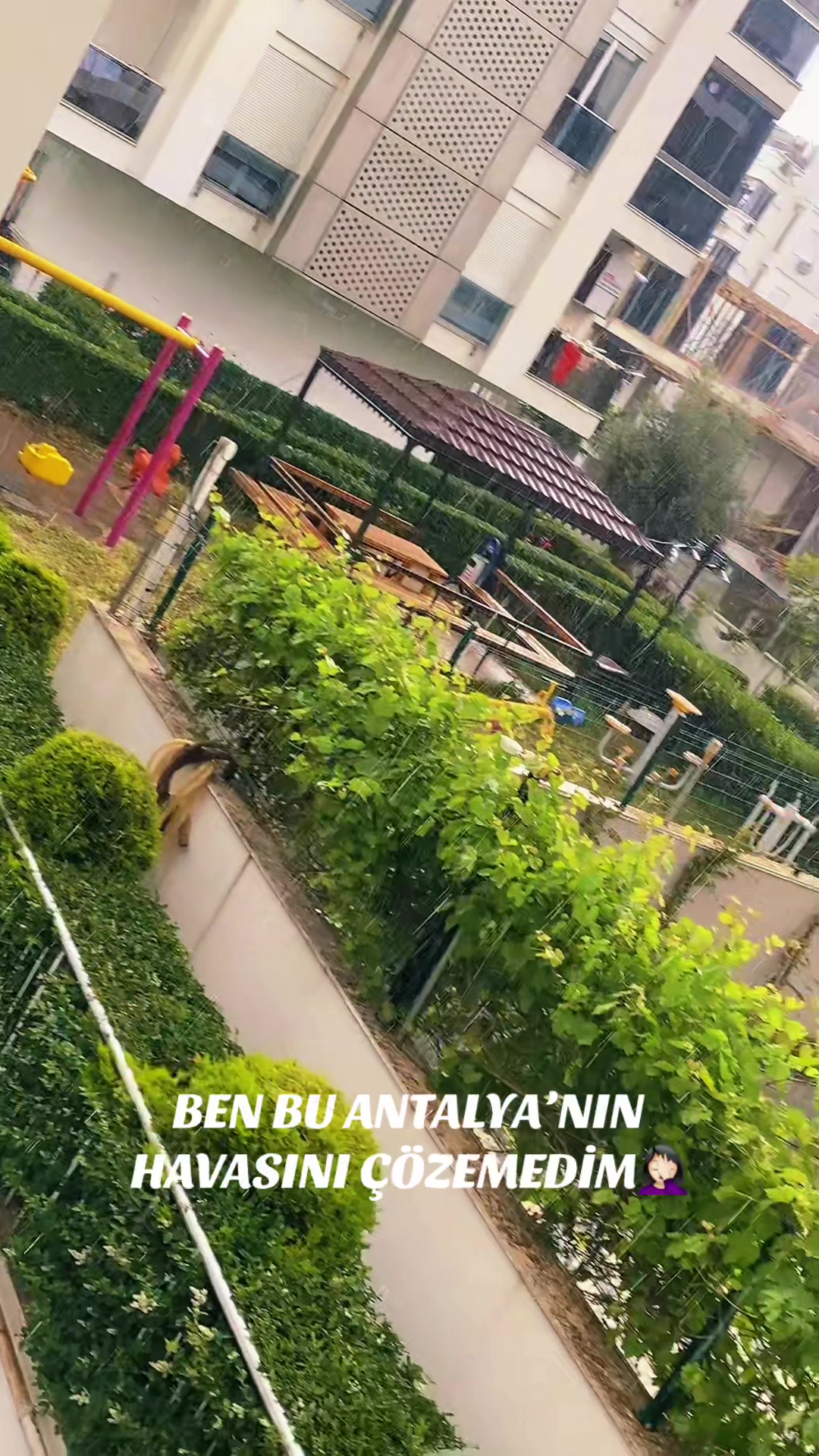 @𝑨𝒀𝑵𝑼𝑹𝑨𝑪𝑨𝑹𝑩𝑬𝑨𝑼𝑻𝒀