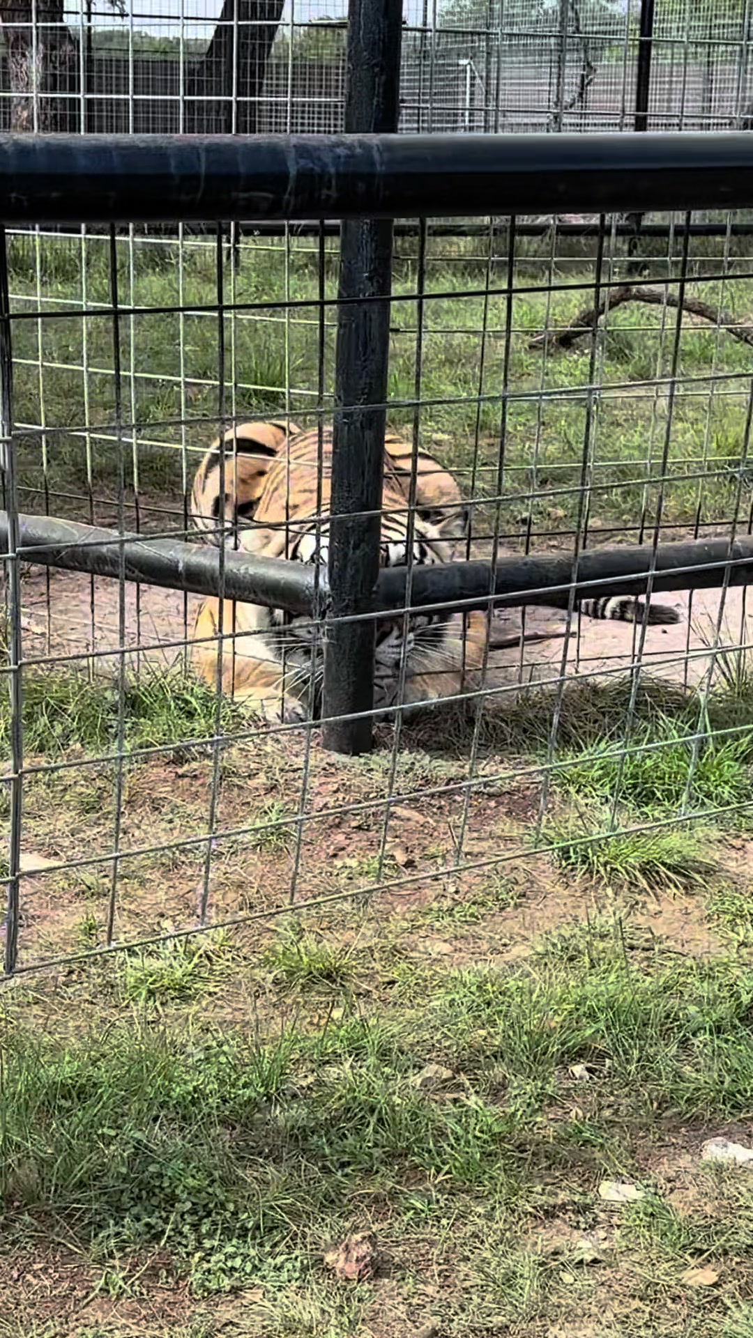@Texas Wildlife Park
