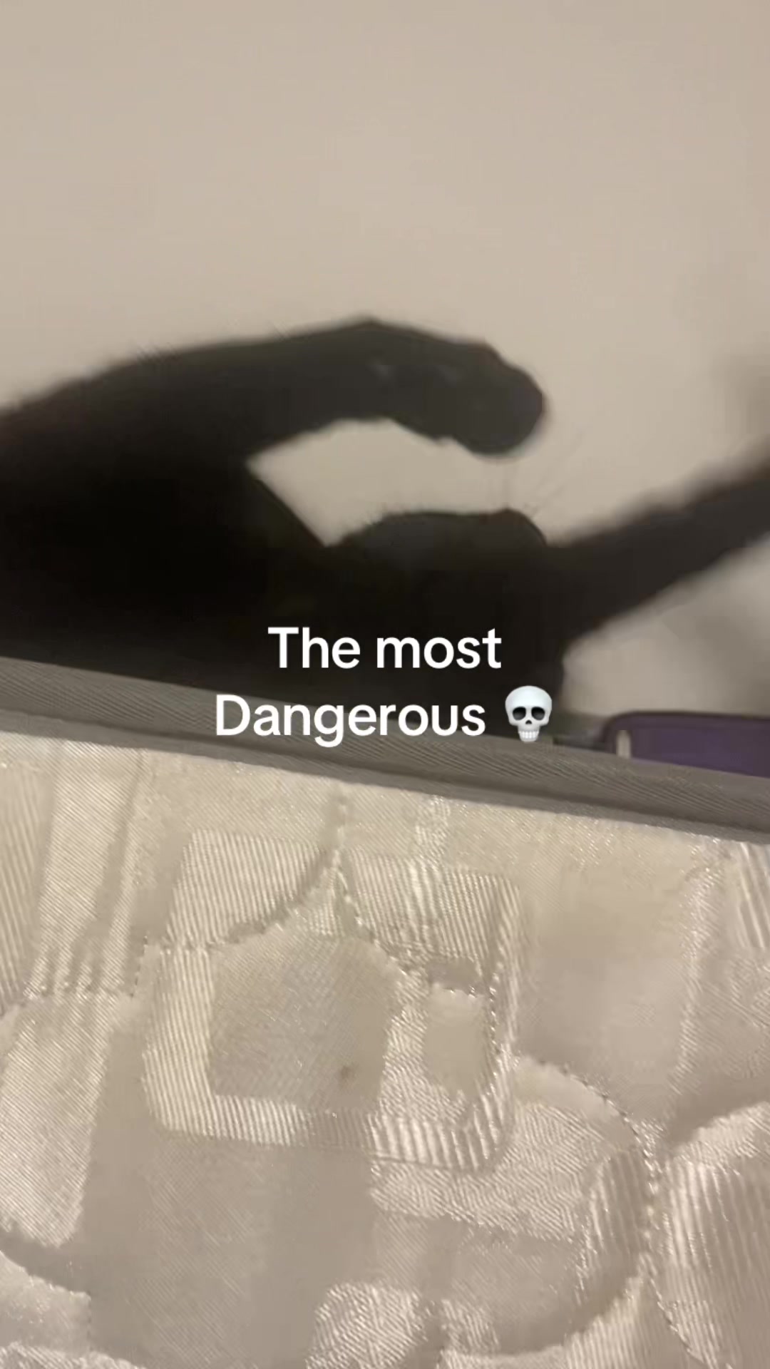 @&laquo;&bull;&mdash;𐌔𐋅Ꝋ𐌓𐌕𐌔𐌕𐌀𐌂𐌊&mdash;&bull;&raquo;
