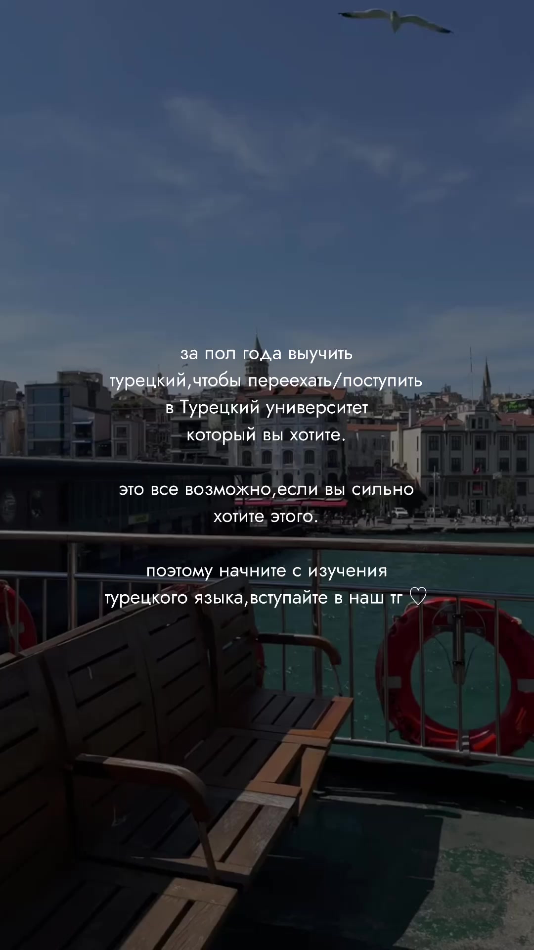 @турецкий язык