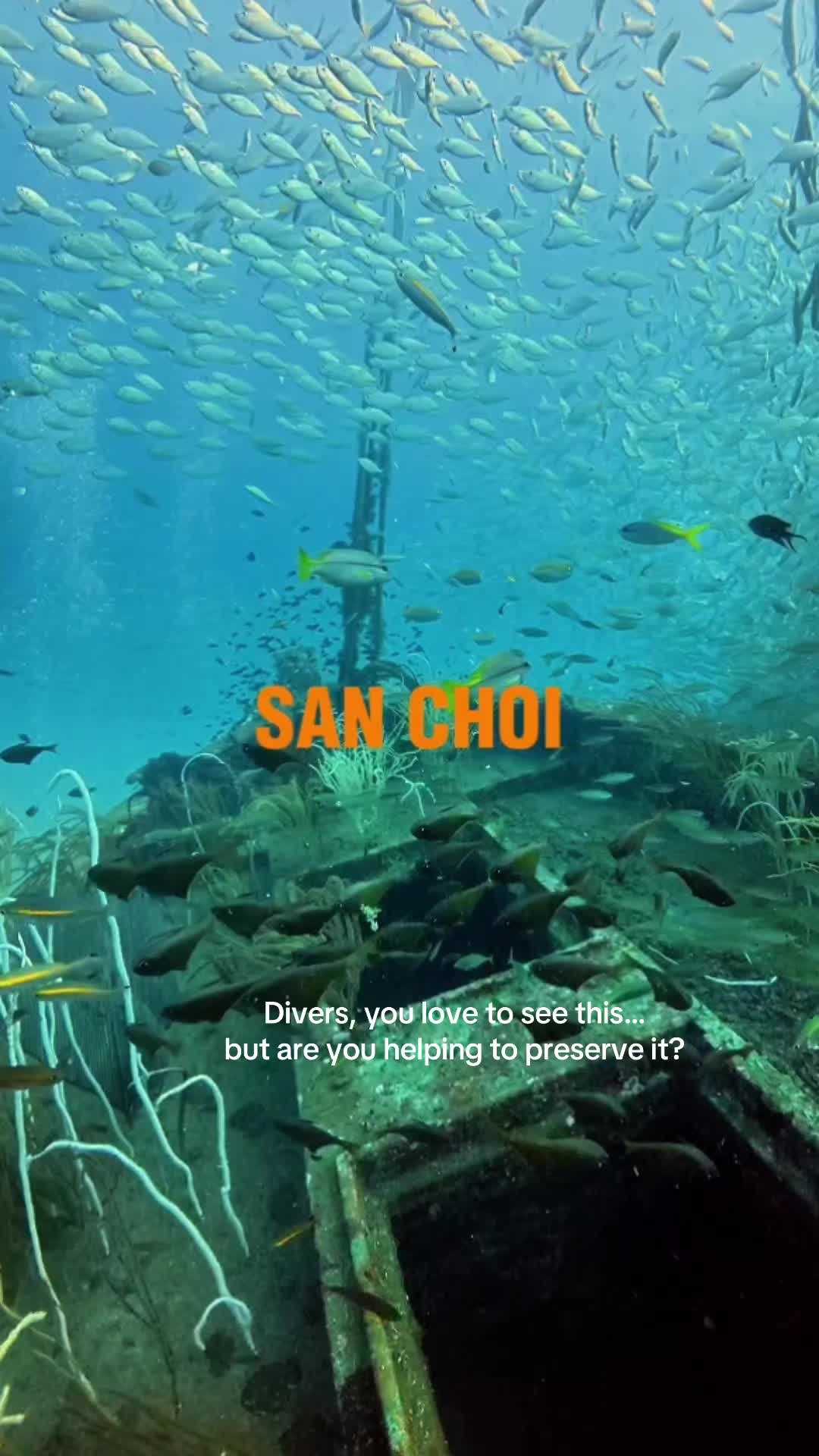 @SeaVoiceDivers