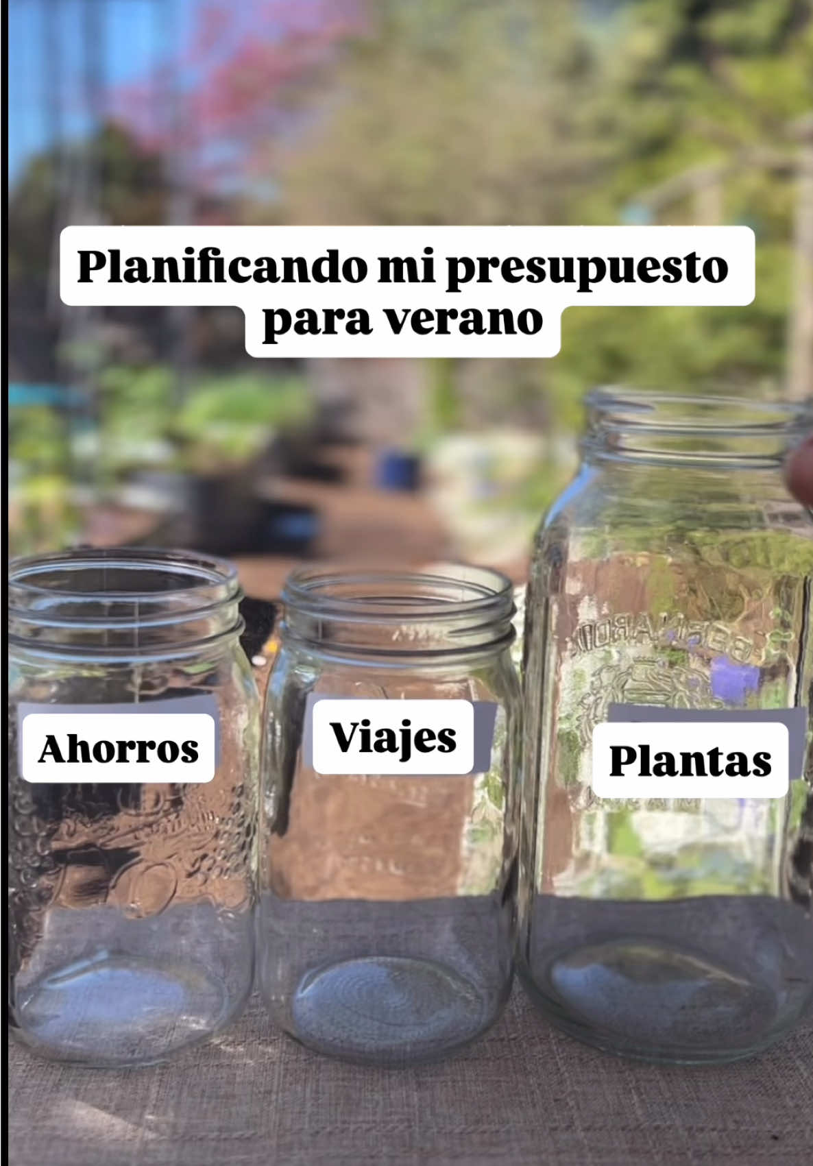 @Greenprincessliveplants