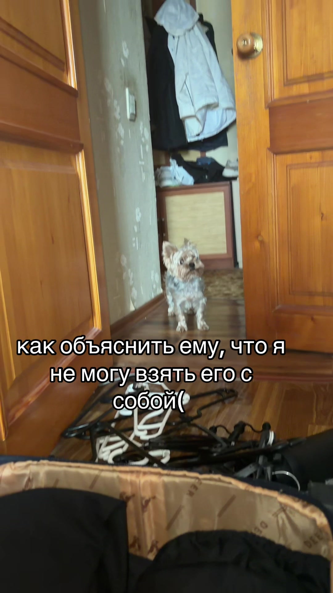 @lfeechka_eng