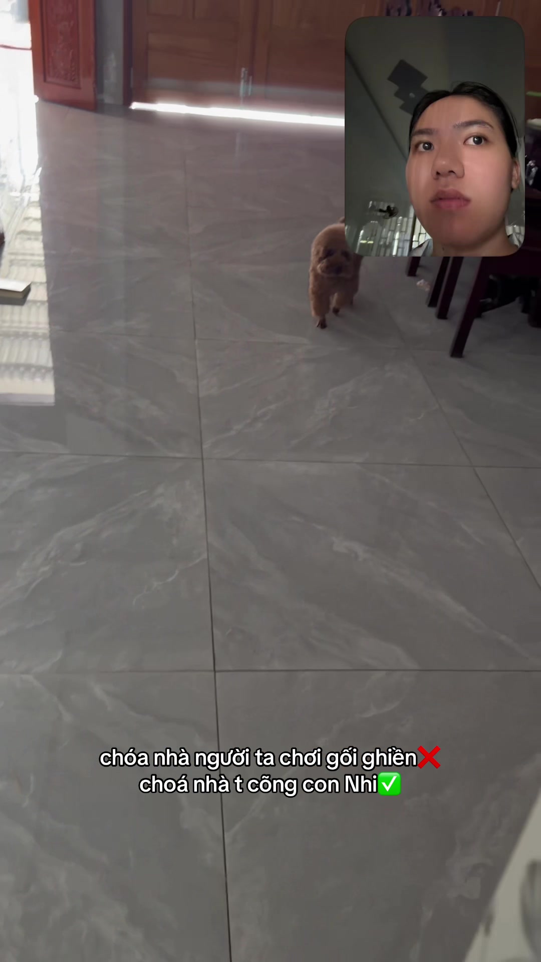 @Di Yến