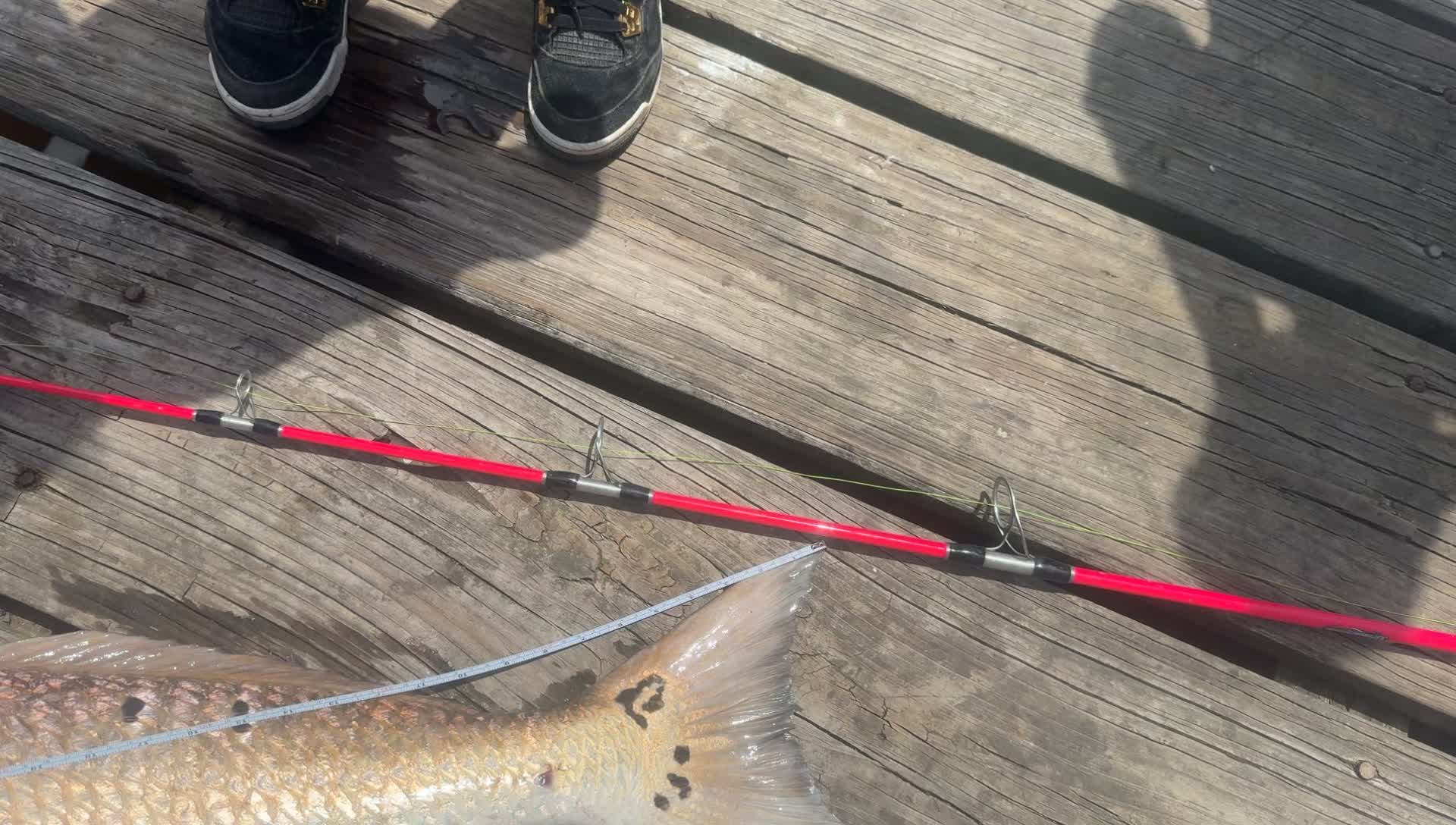 @337FishingQueenAndCrew