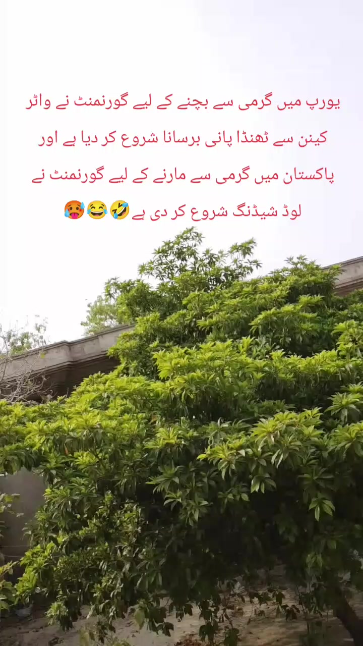 @Aiman🧸