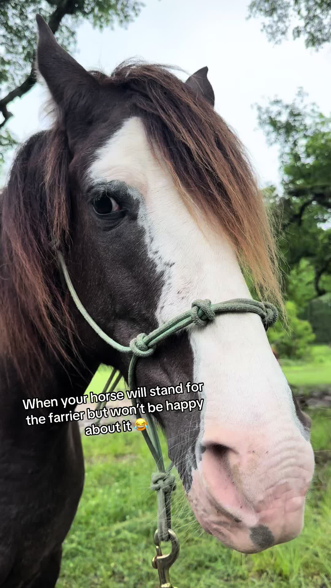 @Paige