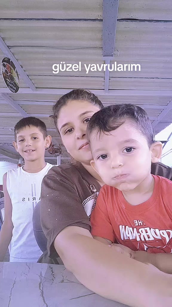 @ceviz