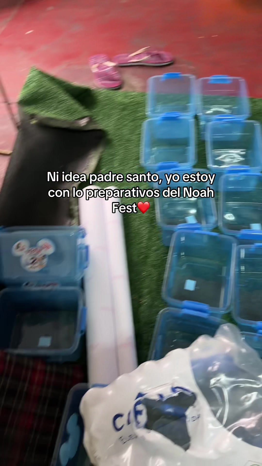 @Neidi Paola