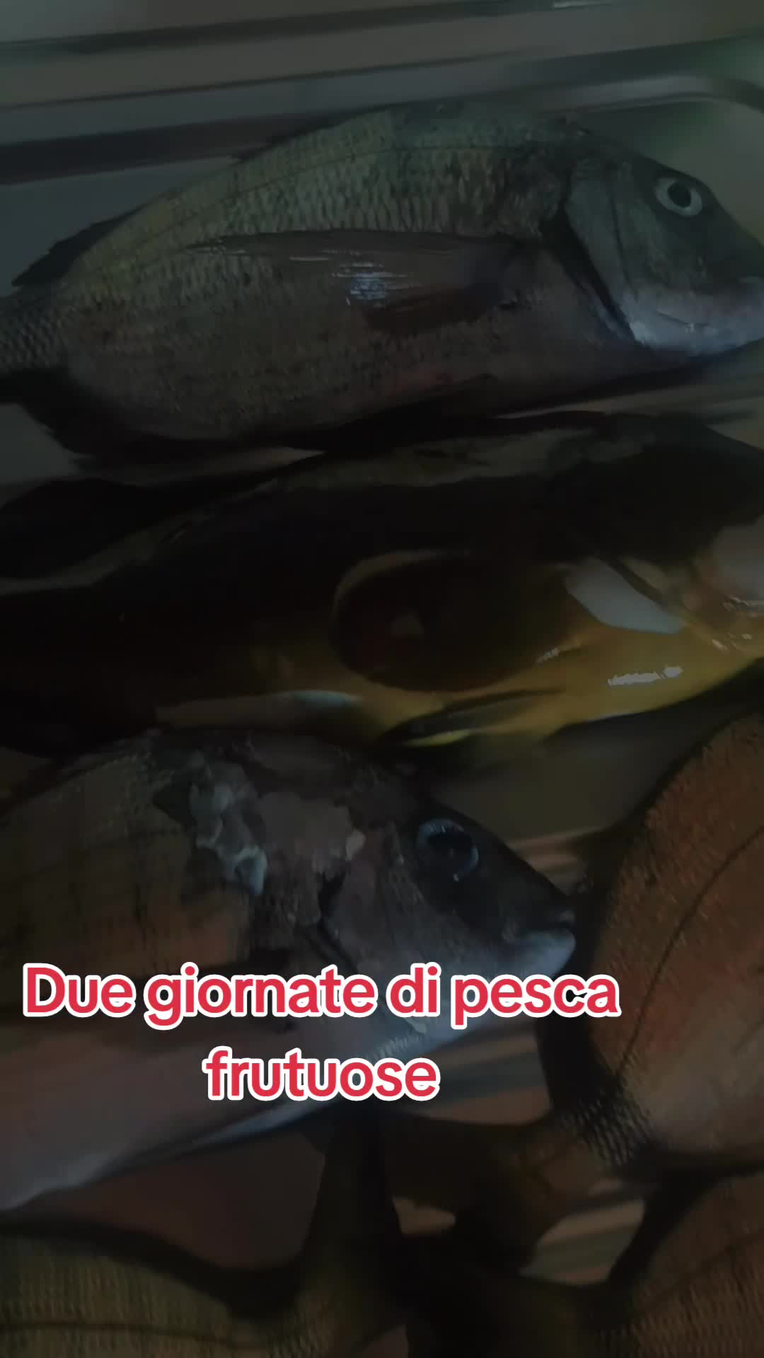 @Michele Guastamacchia
