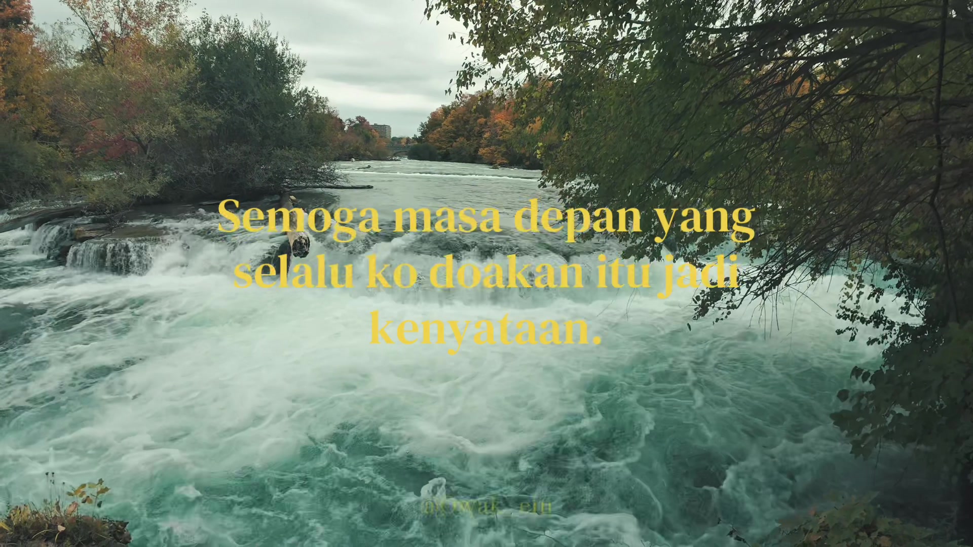 @Owak_elu