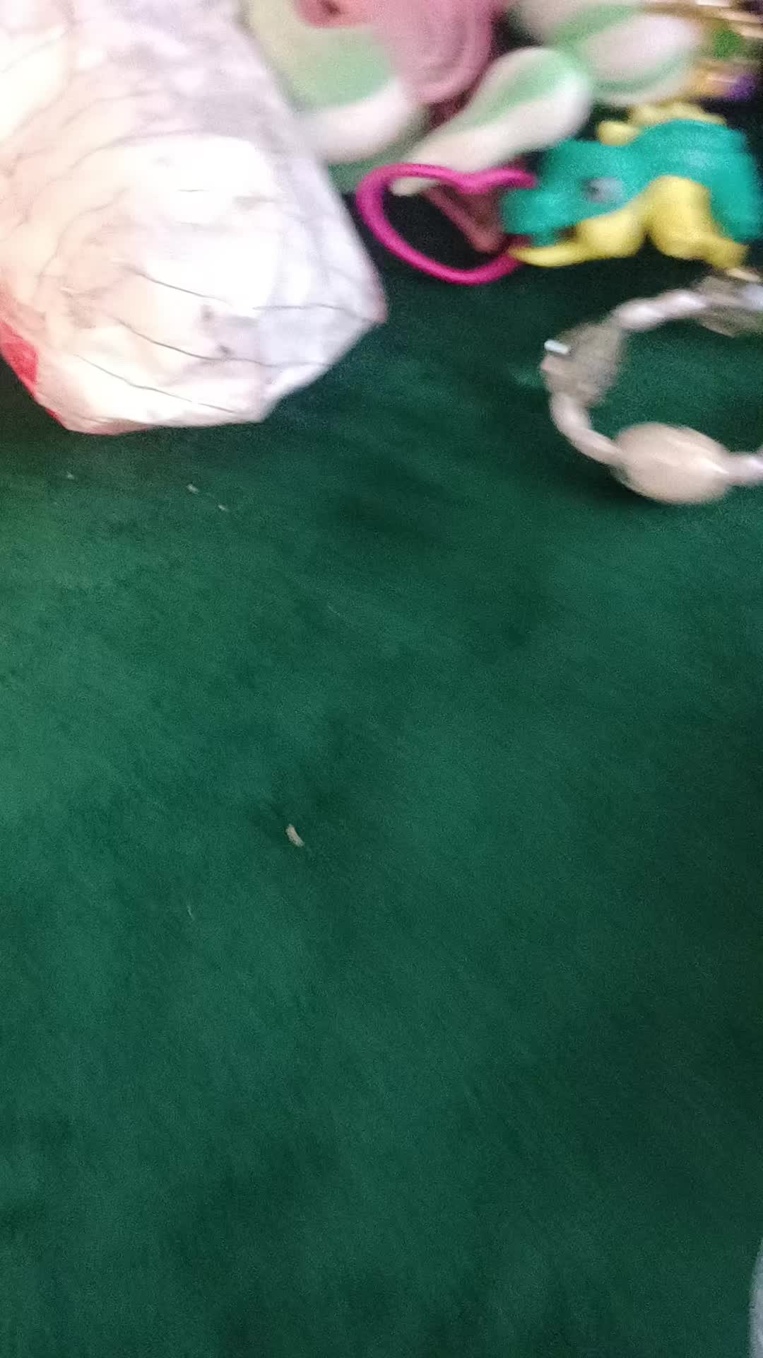 @Sara Catalina