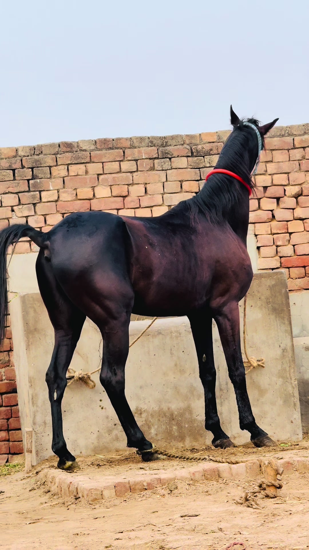 @مہر عبدالرحمن ڈاہر⚜️