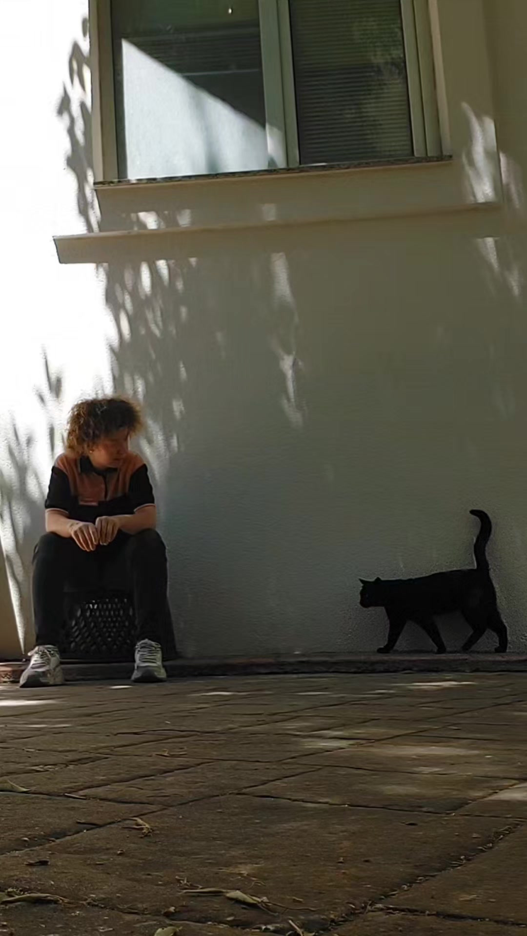 @GülsheN