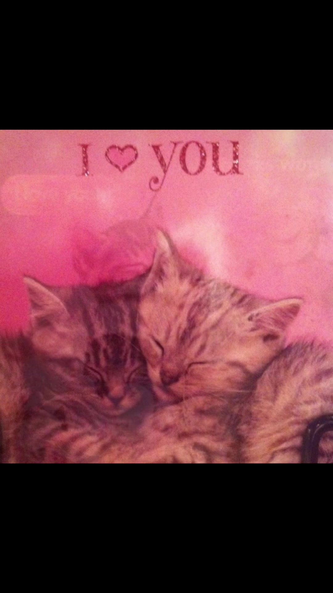 @#котыприколы