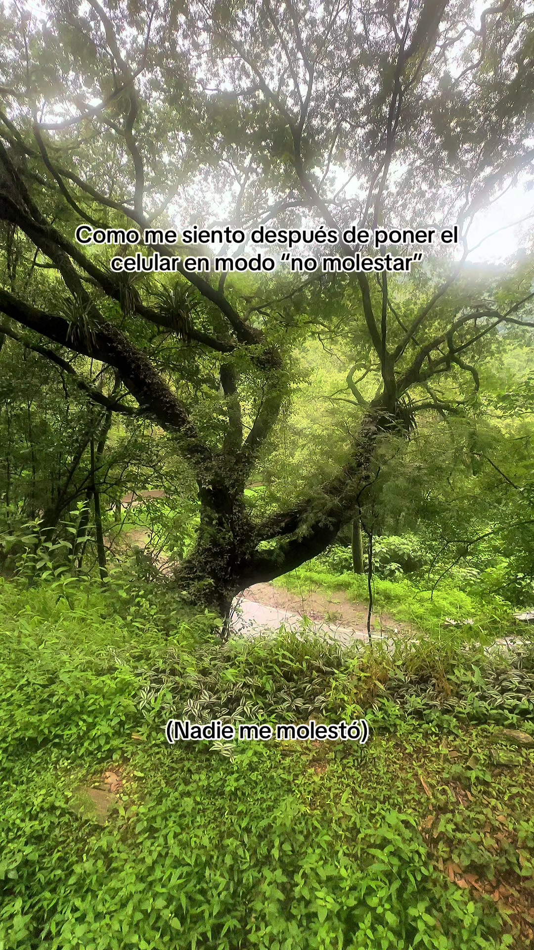 @Dami&aacute;n