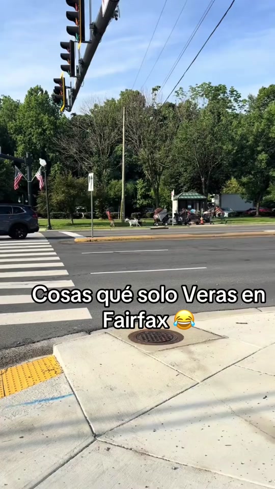 @𝑬𝒅𝒘𝒊𝒏_𝑭𝑭23 🎮