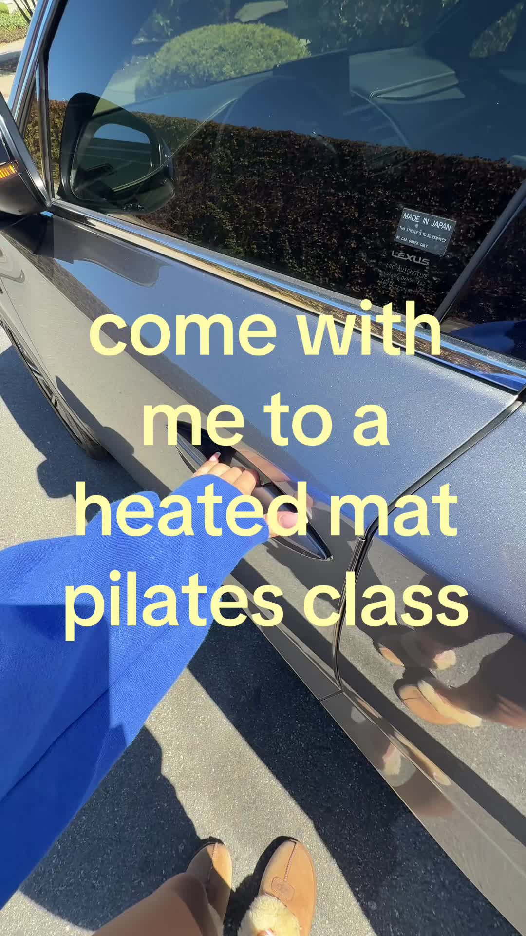 @FLAVIA