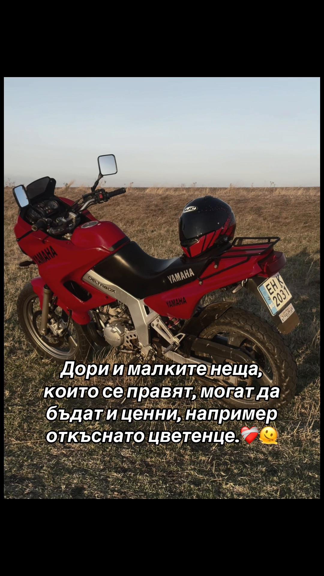 @rev.addict.tdr