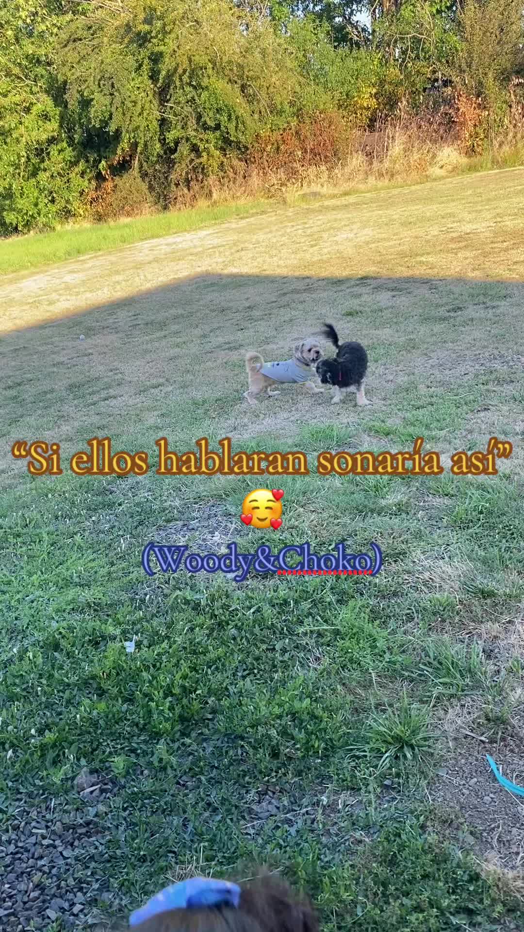 @🩷Cariz la chilanga 🩷