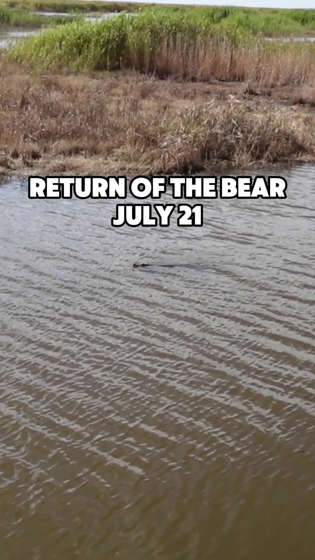 @Bearman