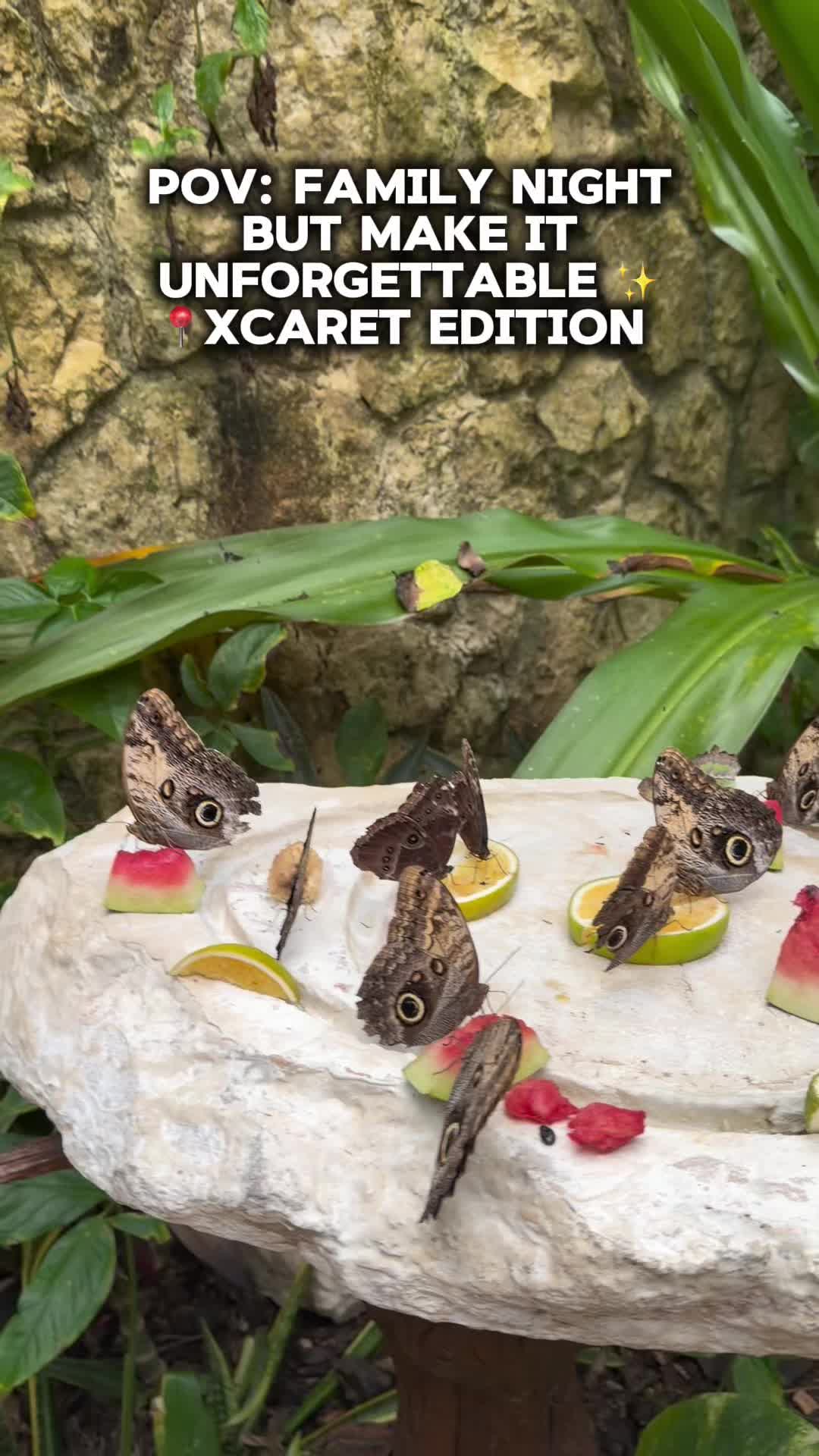 @TheFloresJourneys