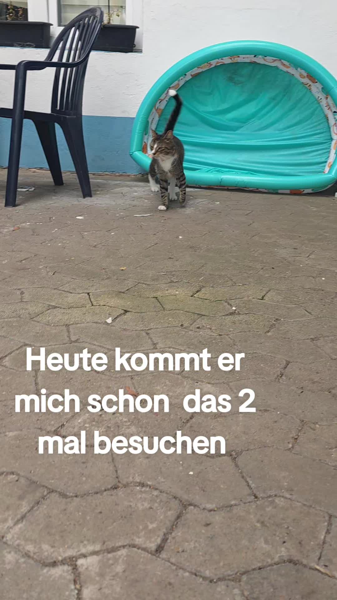 @zottel_maus123