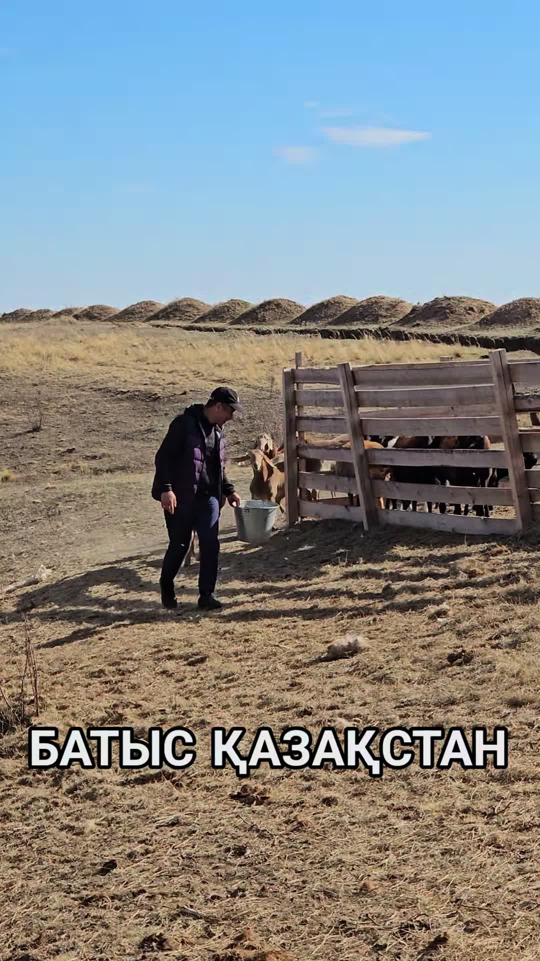 @Гани