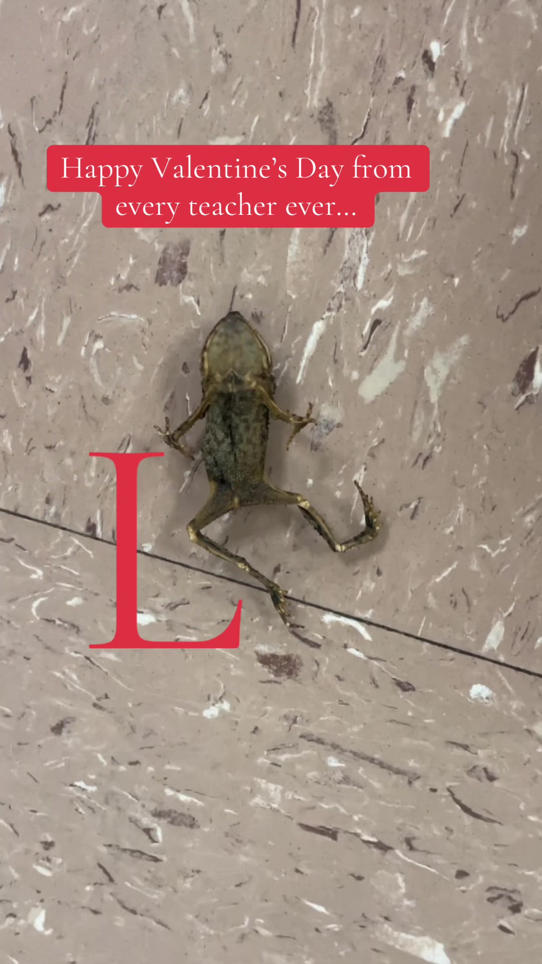 @LR