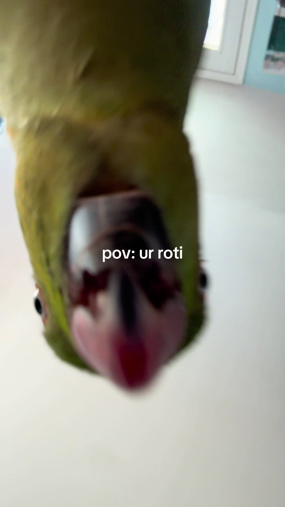 @priti ⭐️