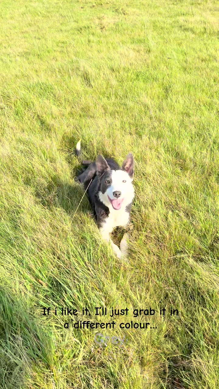 @Gwenllian Pyrs