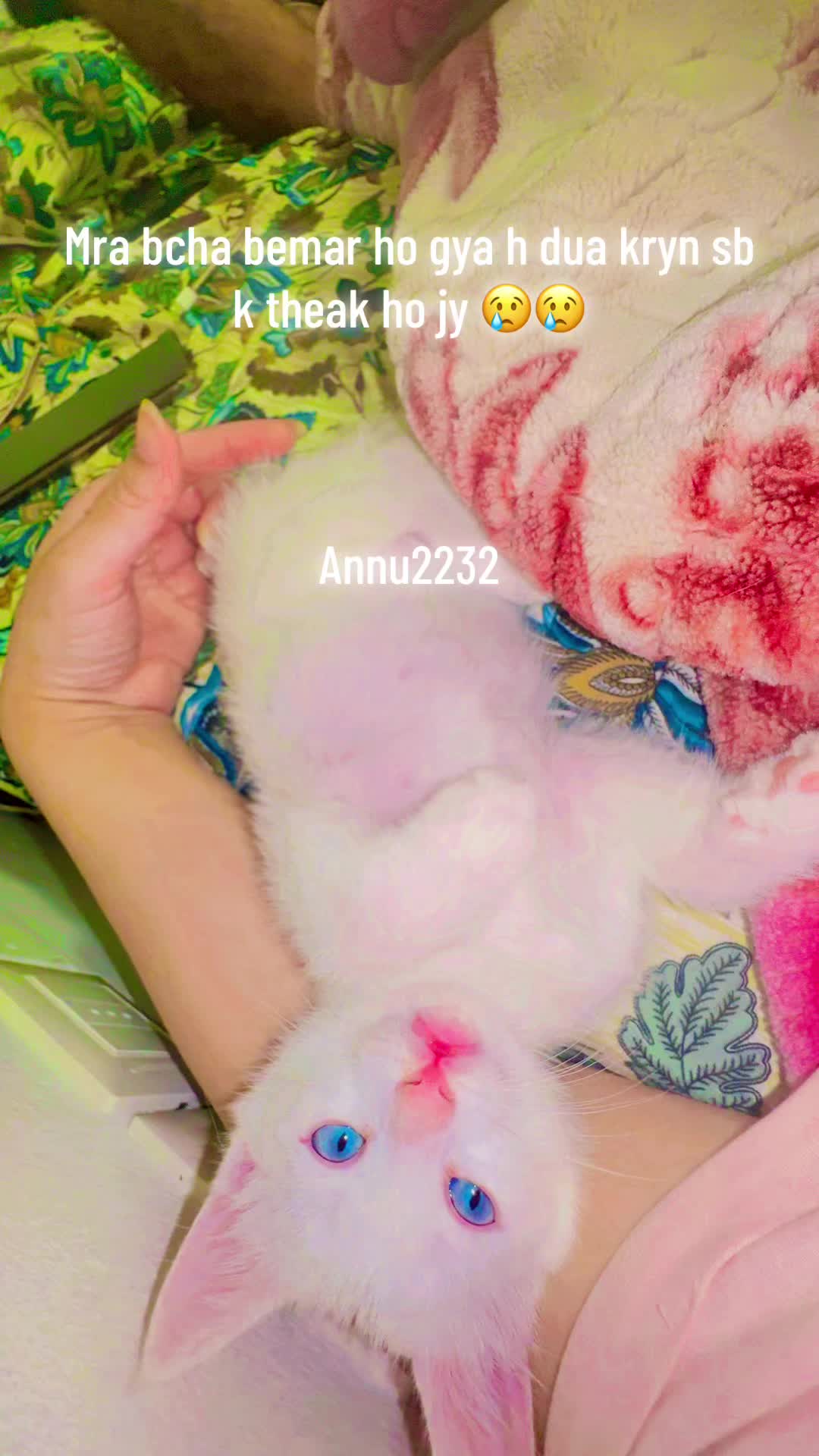 @annu_2232