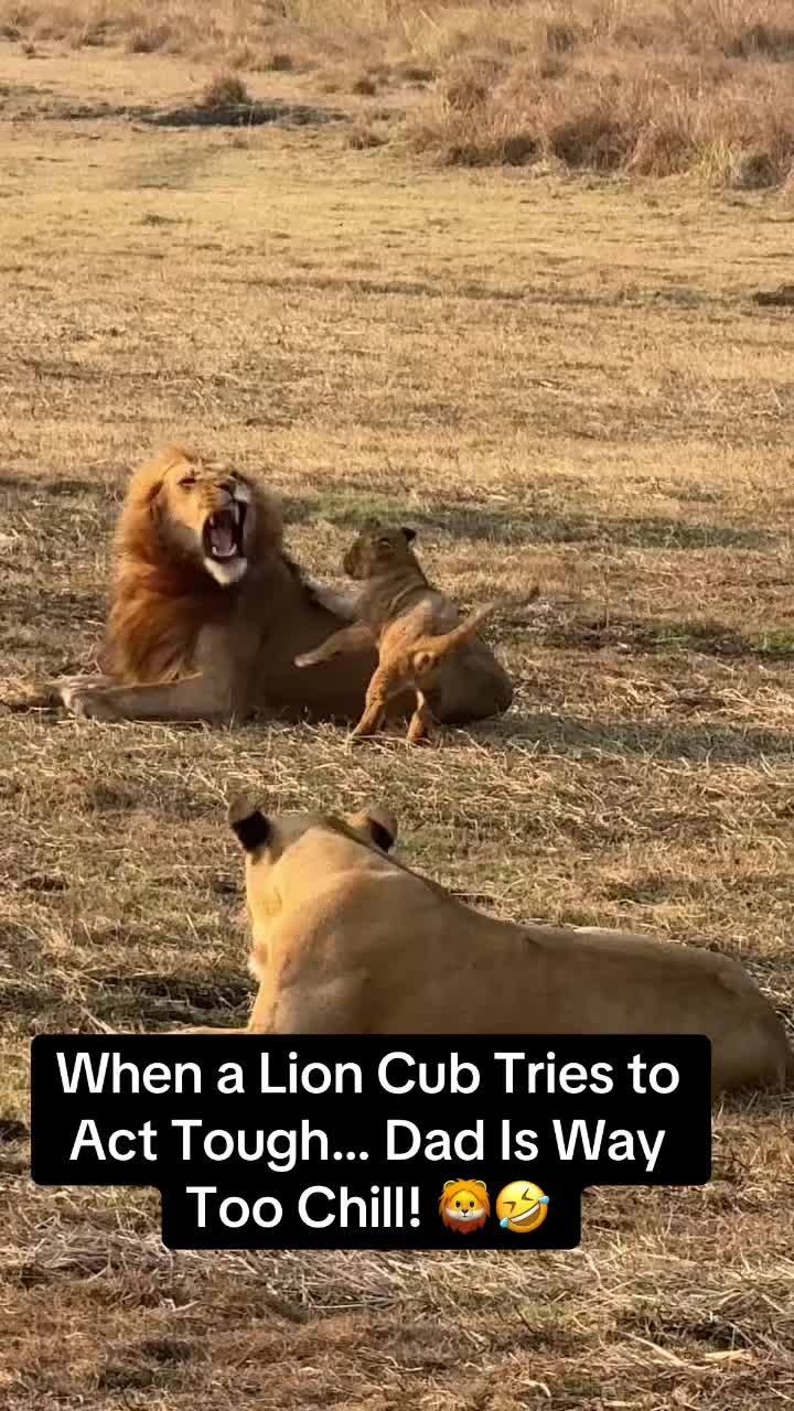 @KJ@LoveAnimalsEpicNature