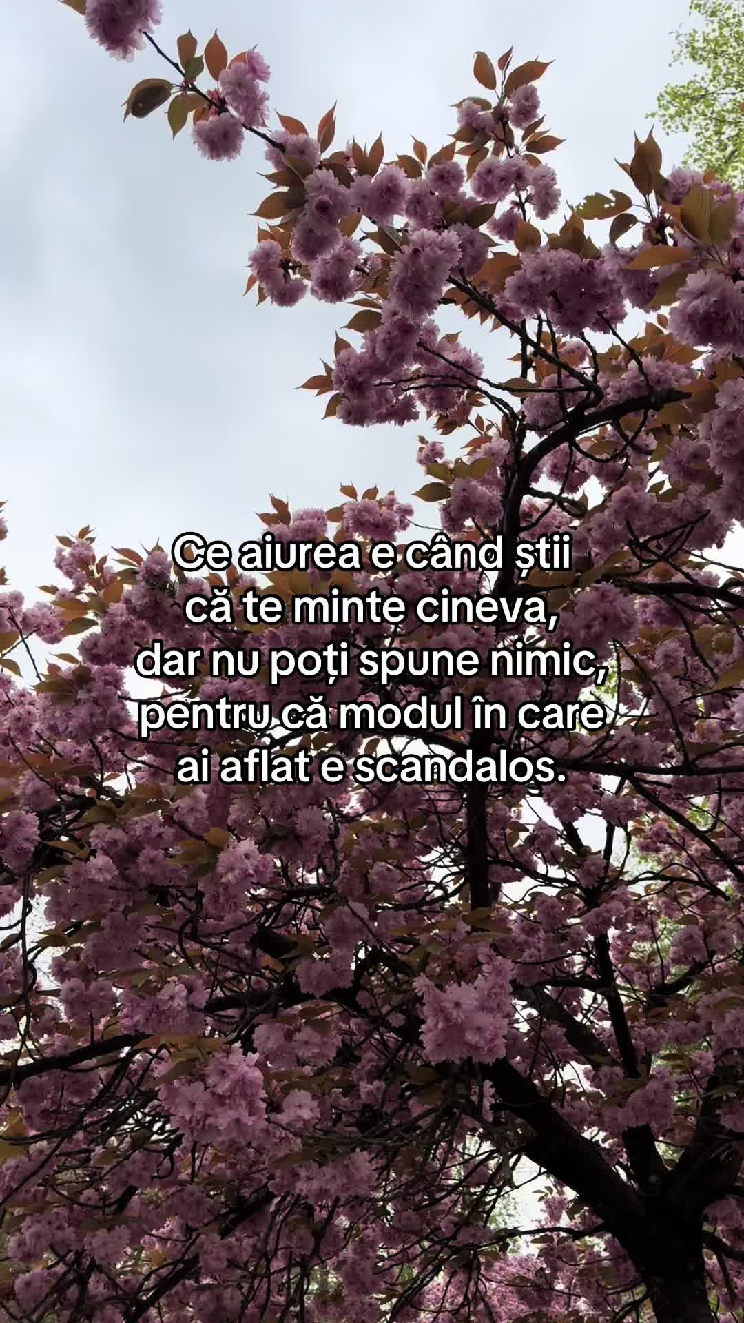 @simona