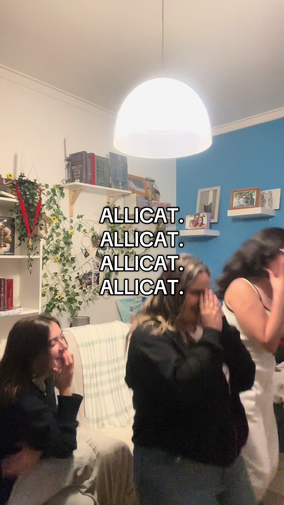 @life of cricri