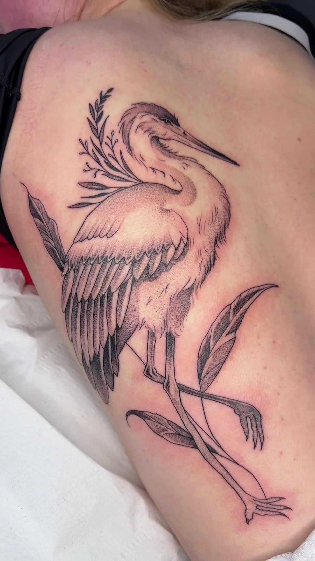 @Preston_ink