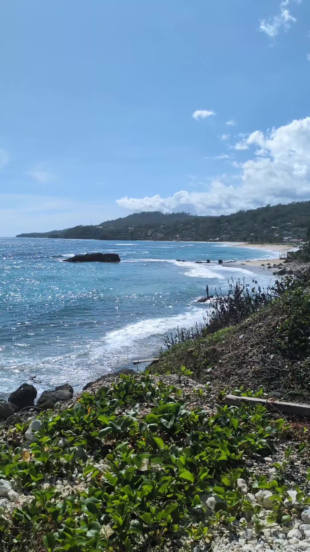 @Jamaica Untouched