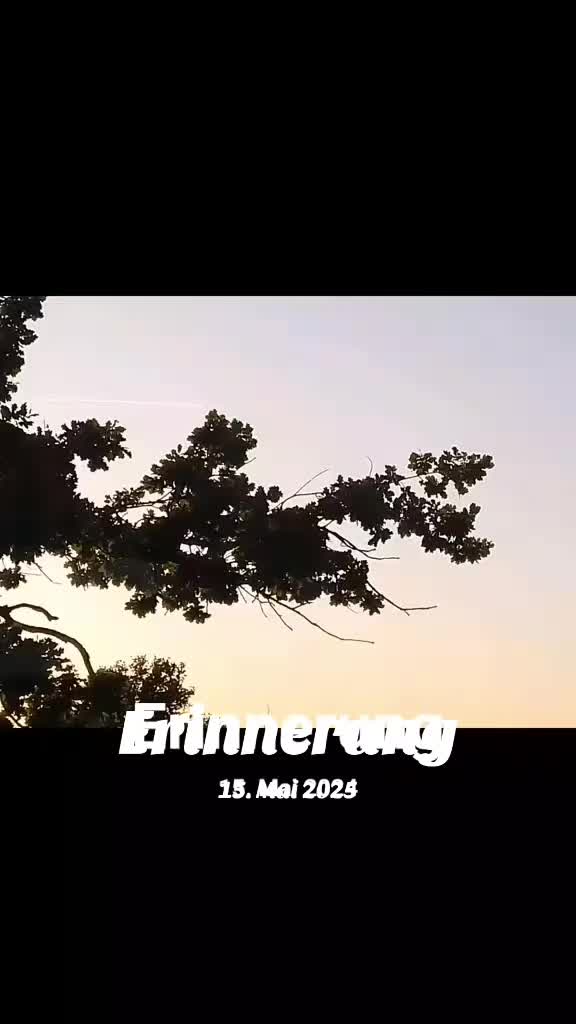 @Torsten 🇩🇪