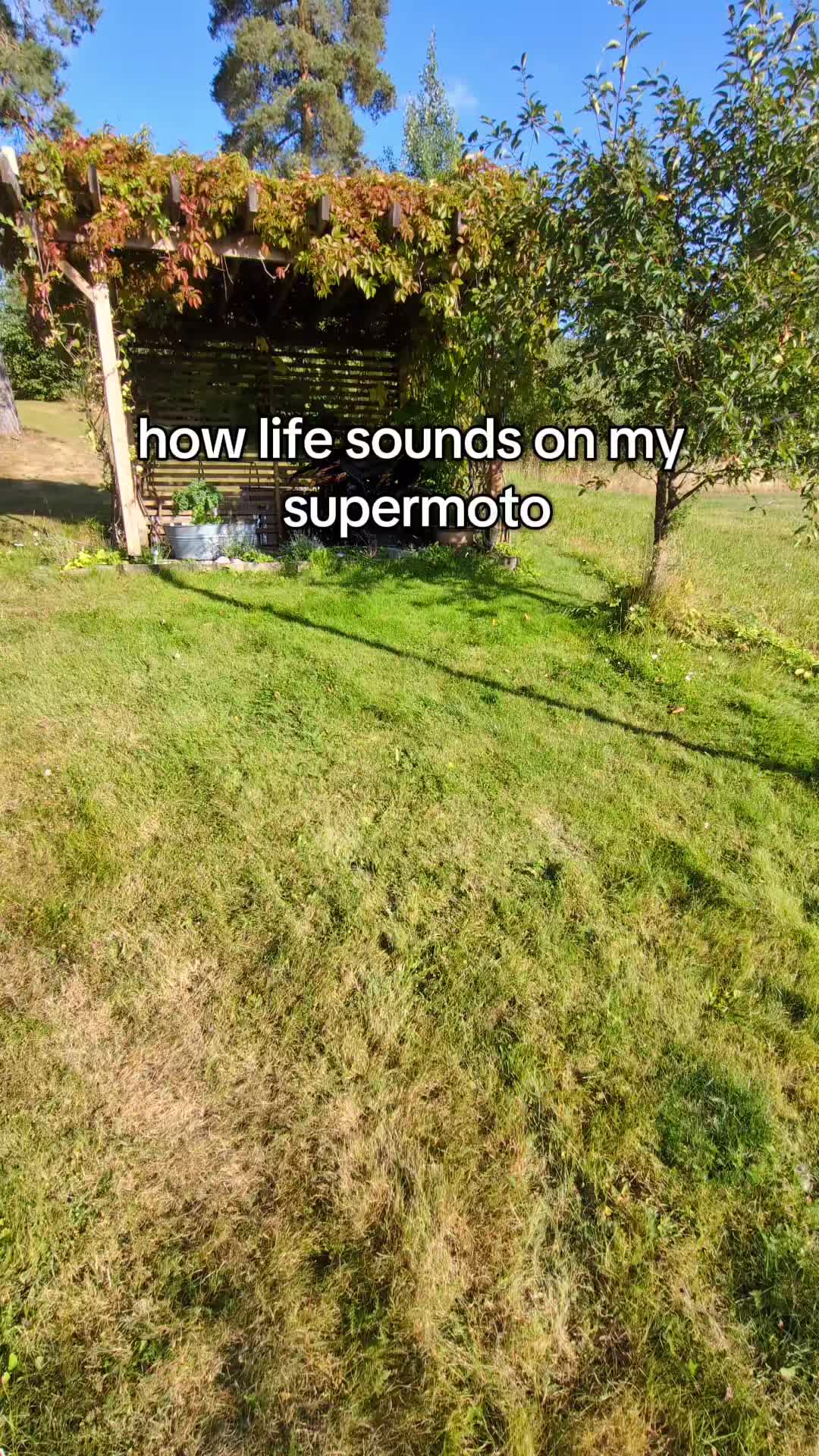 @Speedy.Sx