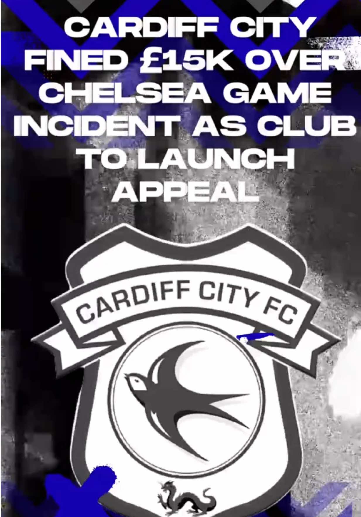 @The Bluebirds Network