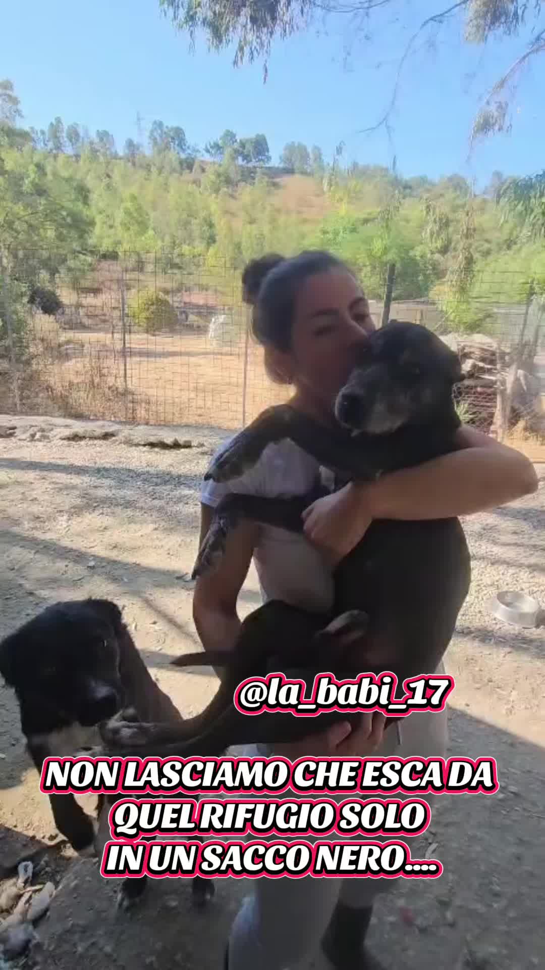 @la_babi_17